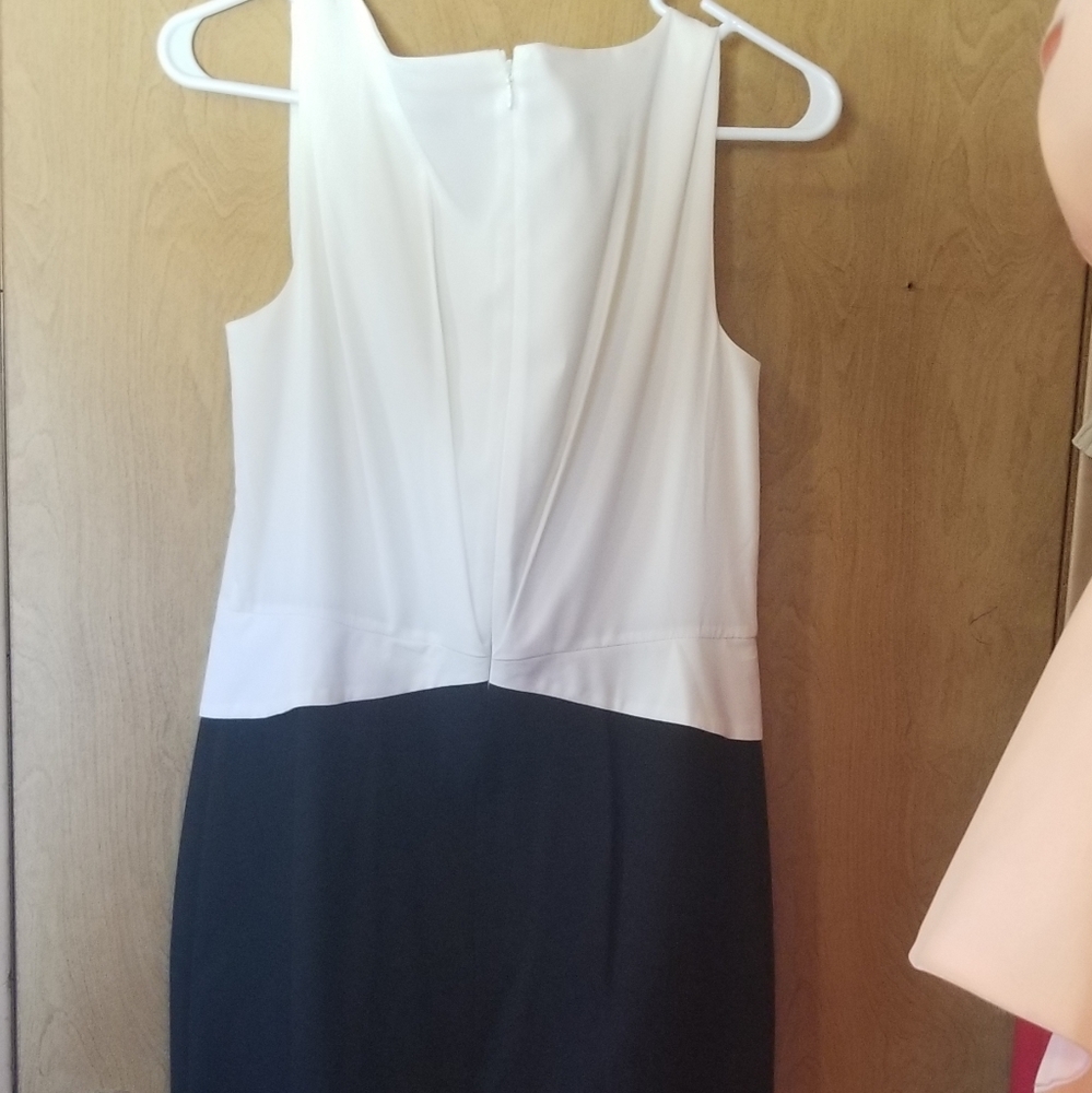 Ann Taylor knee length cocktail dress.